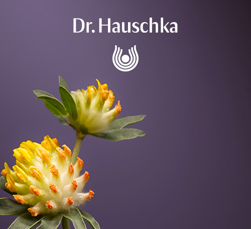 Dr. Hauschka Gesichtspflege