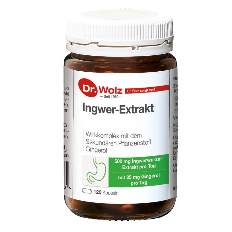 INGWER EXTRAKT Dr.Wolz Kapseln