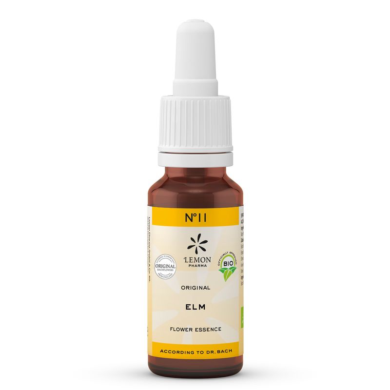 BACHBL�TEN No.11 Elm Bio