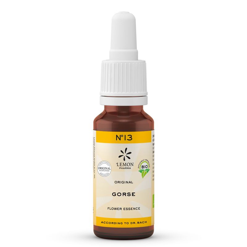 BACHBL�TEN No.13 Gorse Bio
