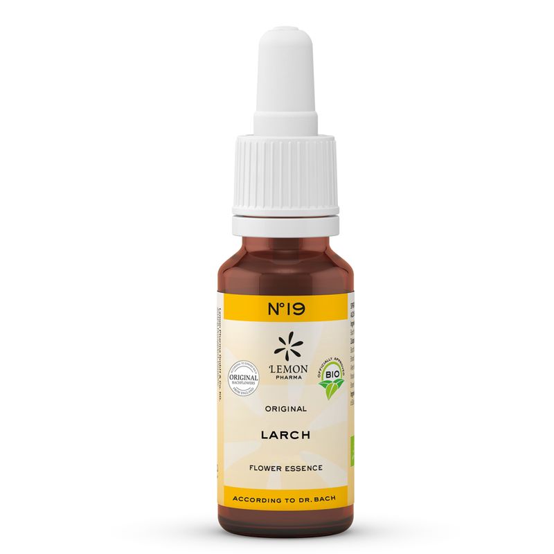 BACHBL�TEN No.19 Larch Bio