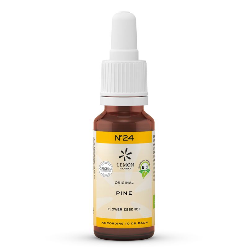 BACHBL�TEN No.24 Pine Bio