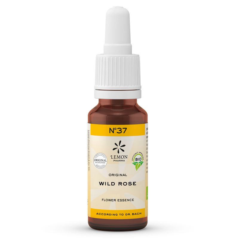 BACHBL�TEN No.37 Wild Rose Bio