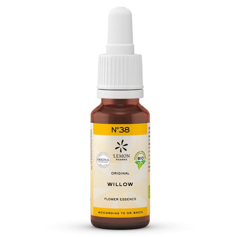BACHBL�TEN No.38 Willow Bio