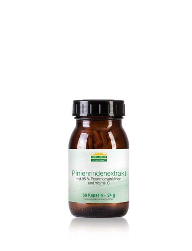PINIENRINDEN-Extrakt Kapseln
