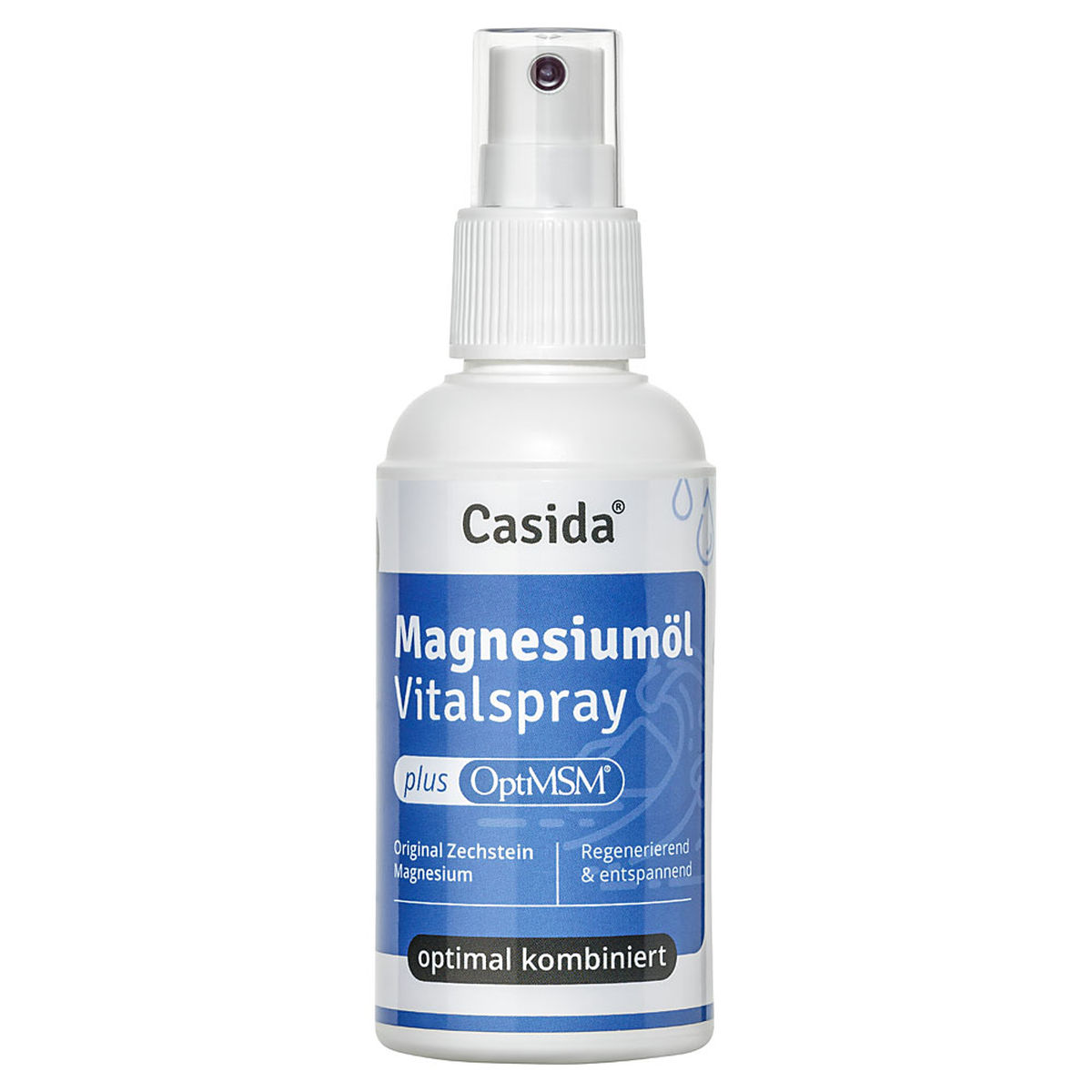 MAGNESIUM�L+MSM Vitalspray Zechstein