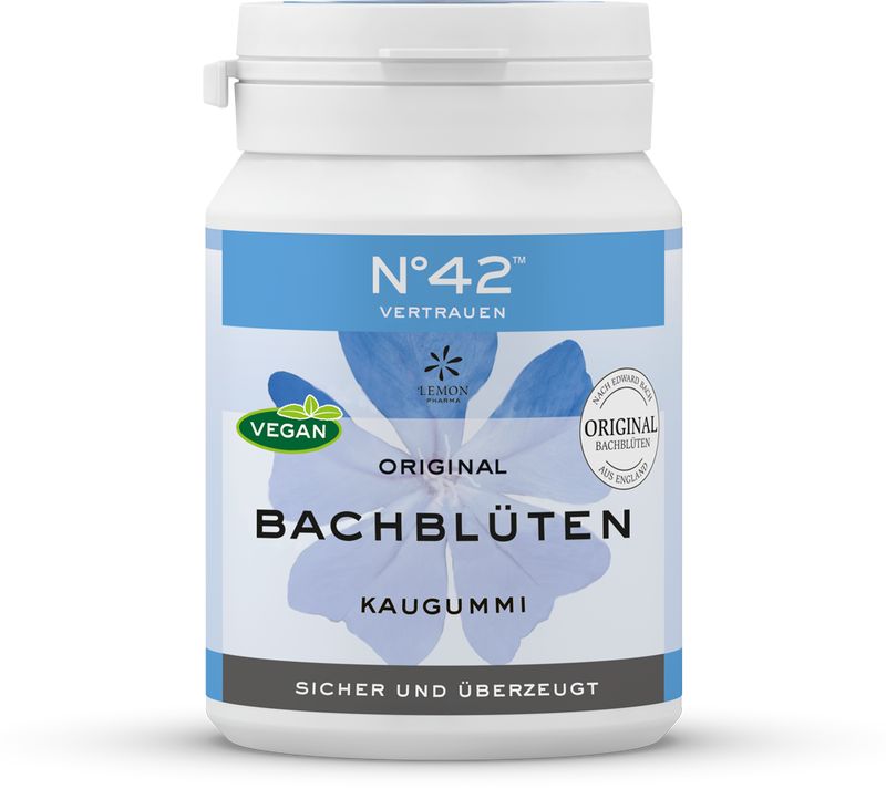 ENERGIE KAUGUMMI nach Dr.Bach