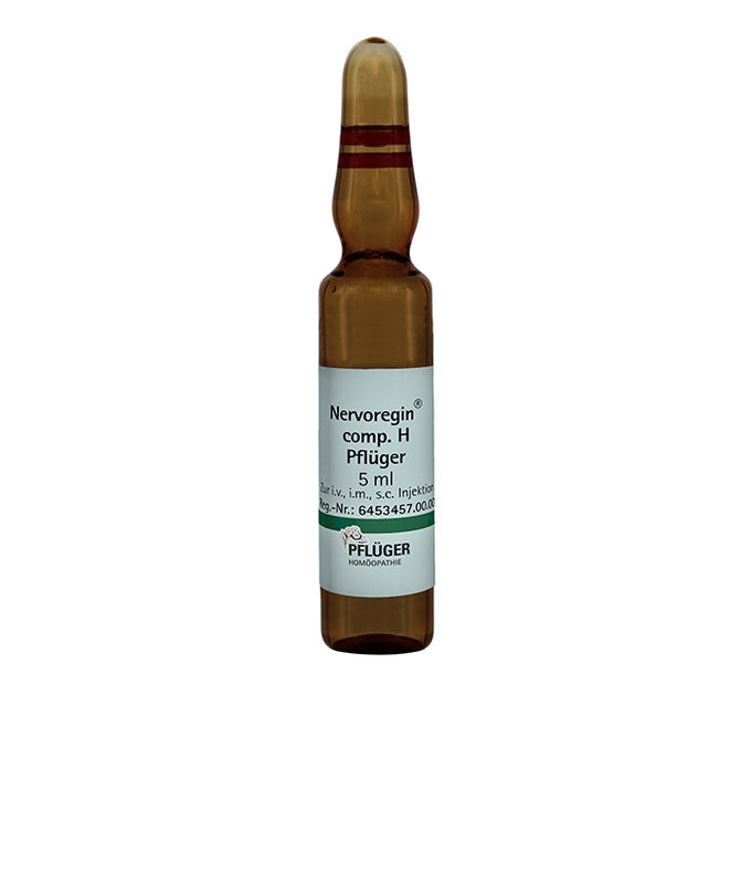 NERVOREGIN comp.H Pflüger Ampullen
