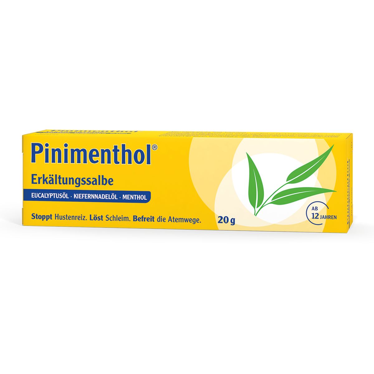 PINIMENTHOL Erk�ltungssalbe Eucal./Kiefern./Menth.
