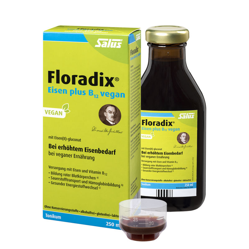 FLORADIX Eisen plus B12 vegan Tonikum