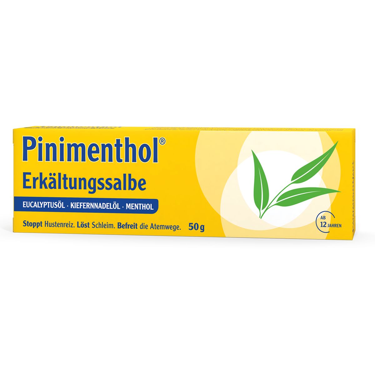 PINIMENTHOL Erk�ltungssalbe Eucal./Kiefern./Menth.