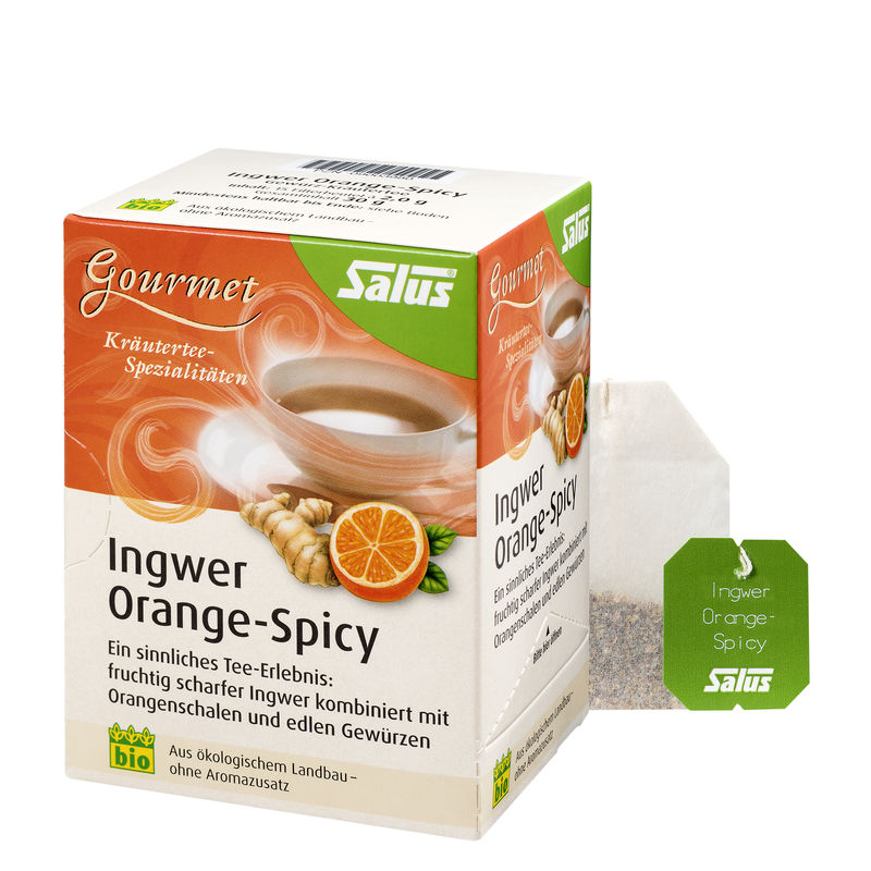 INGWER ORANGE Spicy Tee Salus Filterbeutel