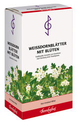 WEISSDORNBLTTER m.Blten Tee