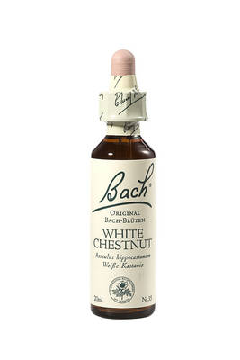 BACHBLTEN White Chestnut Tropfen