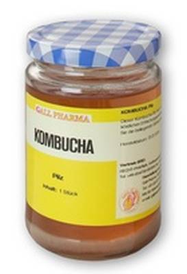 KOMBUCHA TEEPILZ