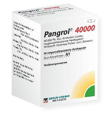 PANGROL 40.000 Hartkps.m.magensaftr.überz.Pell.