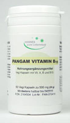 PANGAM Vitamin B15 Vegi Kapseln